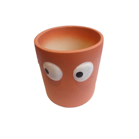 RARE BIRD CERAMIC FACE PLANTER