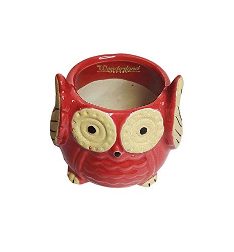 RARE BIRD Owl Ceramic Planter – Red