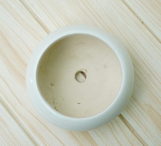 RARE BIRD LUXURY SUCCULENT POT (ROUND)