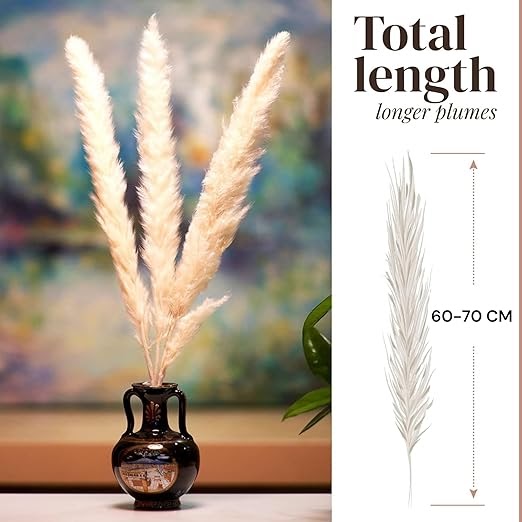RARE BIRD Dried Brown Pampas Grass for Decor 10 Pcs