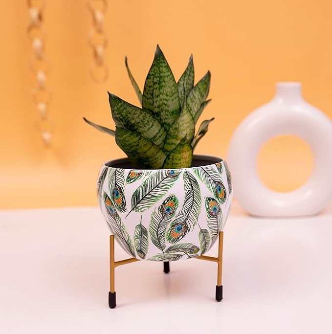 RARE BIRD Beautiful Peacock Feather pot