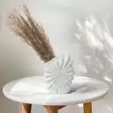 RARE BIRD The Transit Story Shell Vase|