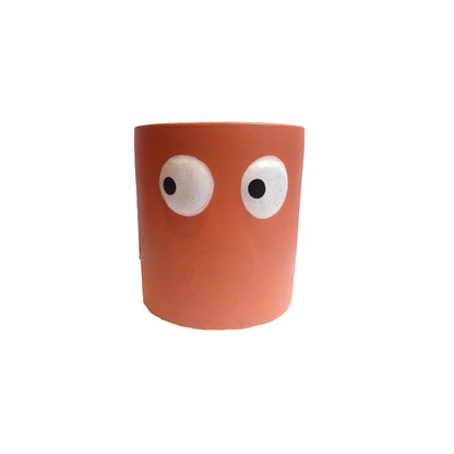 RARE BIRD CERAMIC FACE PLANTER