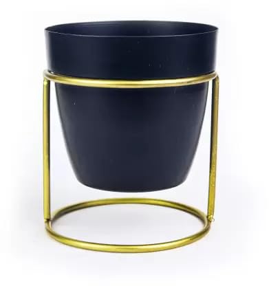 RARE BIRD LUXURY TABLE TOP PLANTER