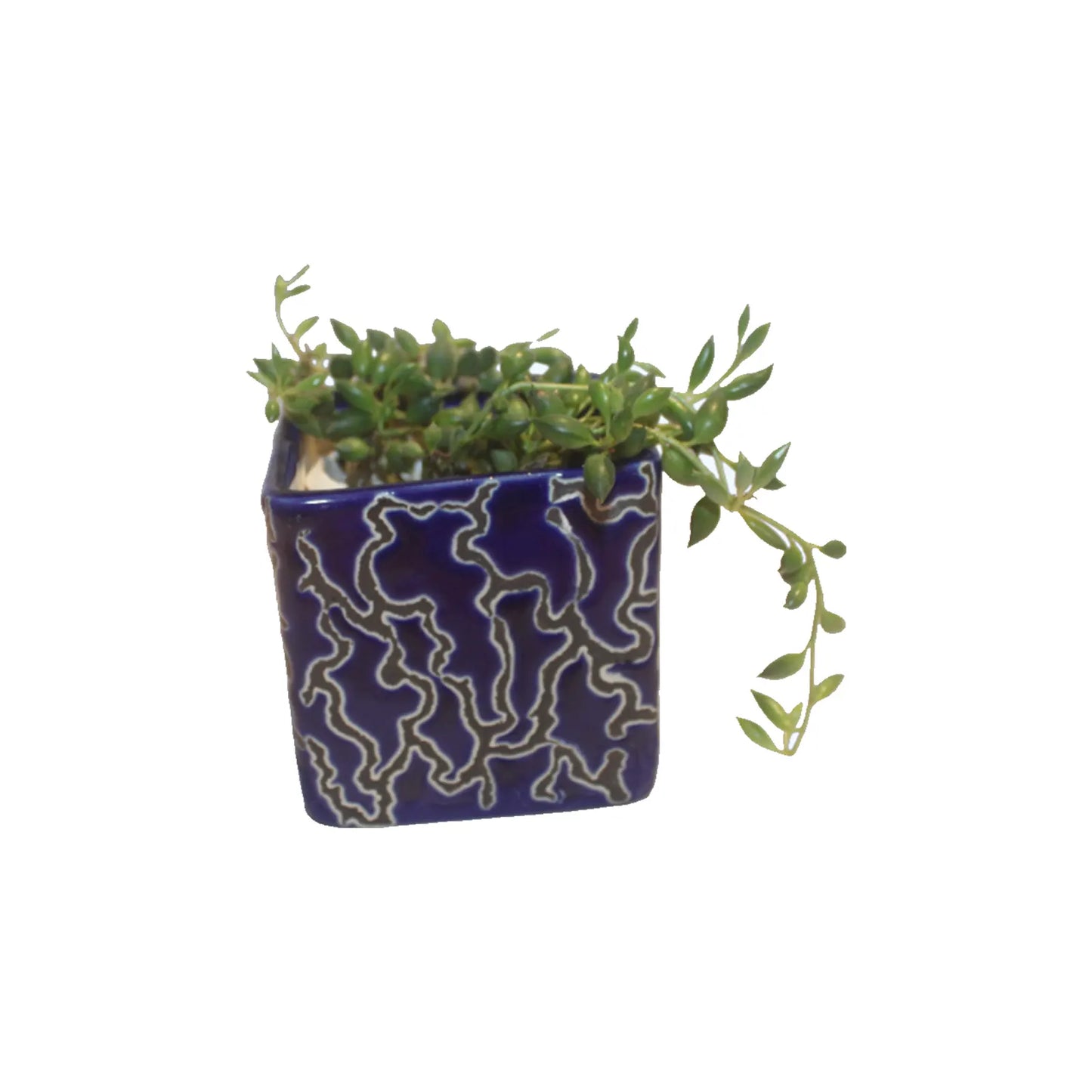 RARE BIRD SQUARE CERAMIC PLANTER