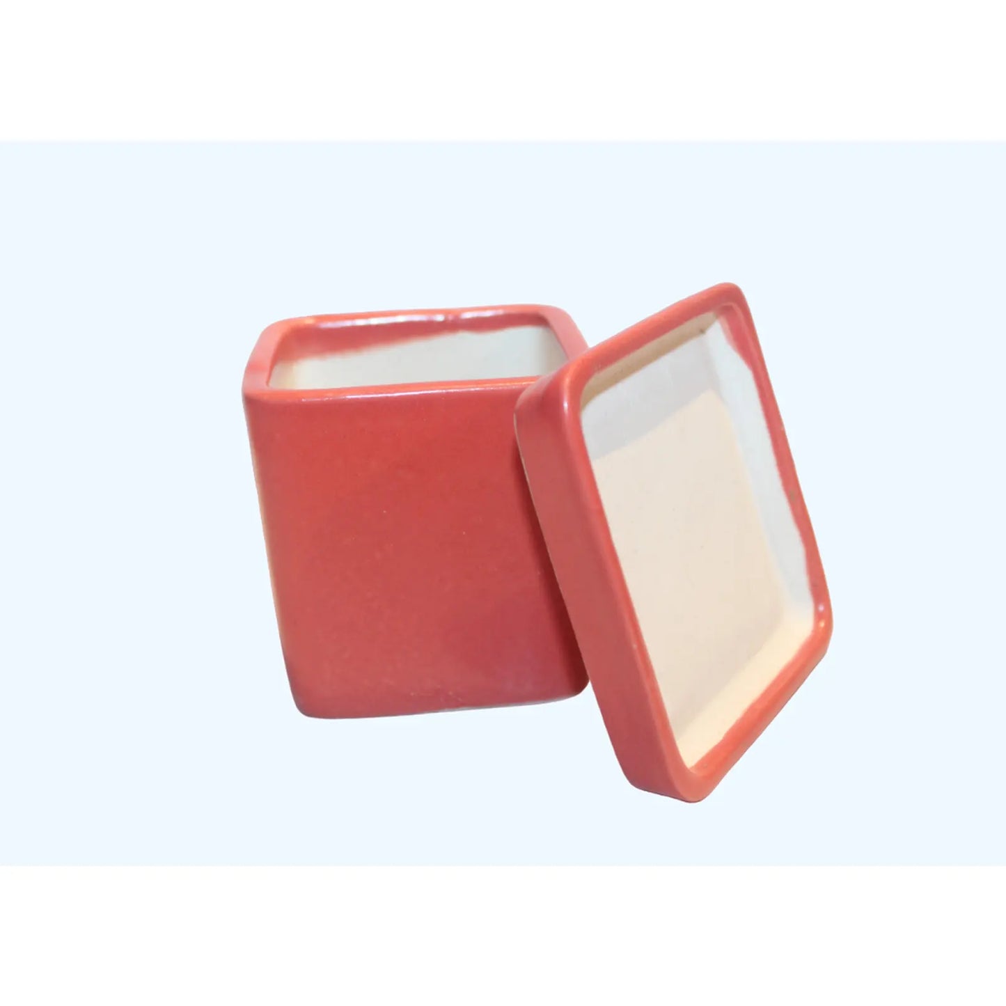 RARE BIRD Square Ceramic Pot