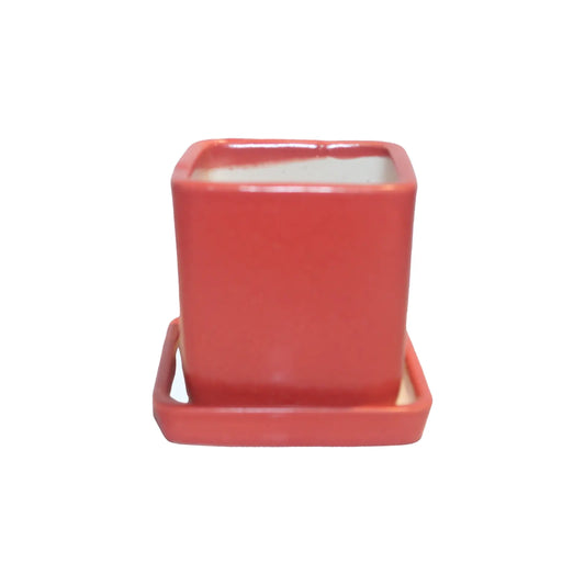 RARE BIRD Square Ceramic Pot