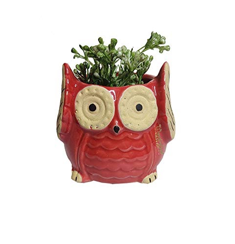 RARE BIRD Owl Ceramic Planter – Red