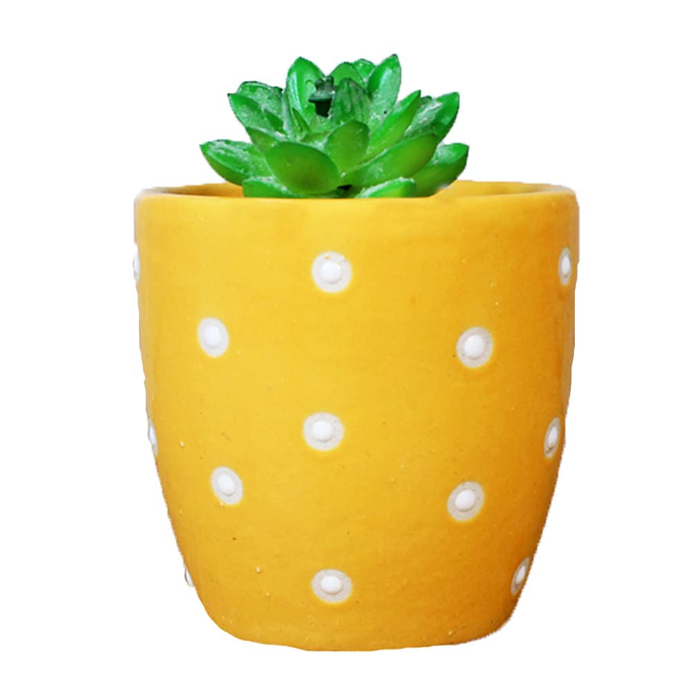 Rare bird Ceramic Small dot Pot for Plants