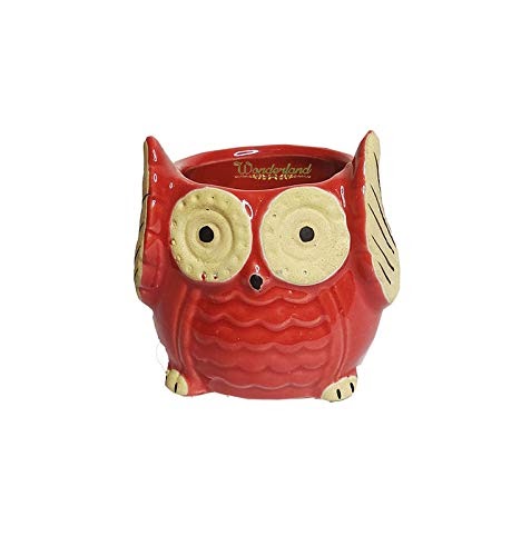RARE BIRD Owl Ceramic Planter – Red