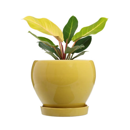 RARE BIRD APPLE CERAMIC PLANTER