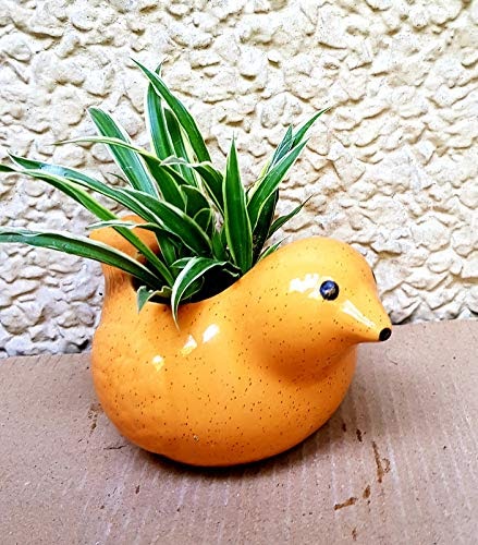 RARE BIRD Ceramic Bird Pots- Orange