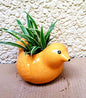 RARE BIRD Ceramic Bird Pots- Orange