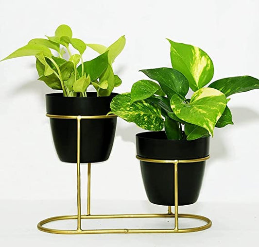 METAL MATKA PLANTER Black & Gold planter												0 7	Black & Gold planter
