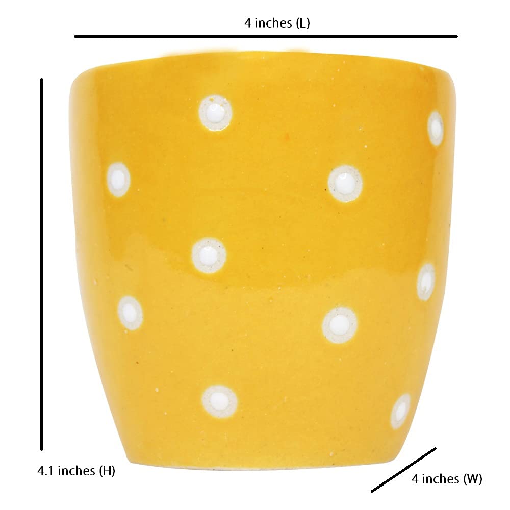 Rare bird Ceramic Small dot Pot for Plants