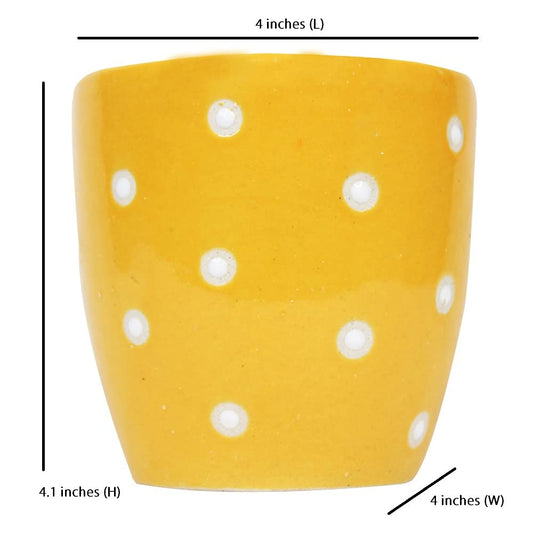 Rare bird Ceramic Small dot Pot for Plants