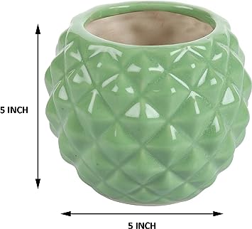 RARE BIRD PINEAPPLE CERAMIC POT