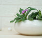 RARE BIRD LUXURY SUCCULENT POT (ROUND)