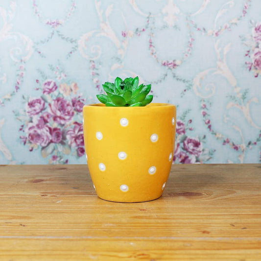 Rare bird Ceramic Small dot Pot for Plants