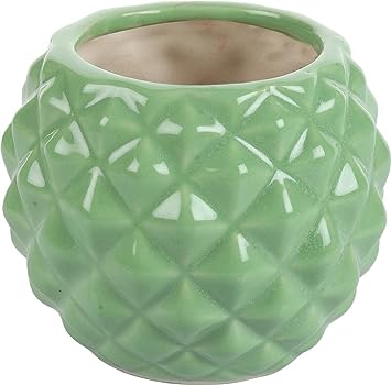 RARE BIRD PINEAPPLE CERAMIC POT