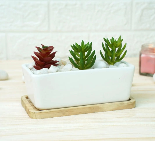 RARE BIRD White Ceramic Pots for Plants