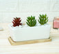 RARE BIRD White Ceramic Pots for Plants