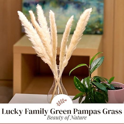 RARE BIRD Dried Brown Pampas Grass for Decor 10 Pcs