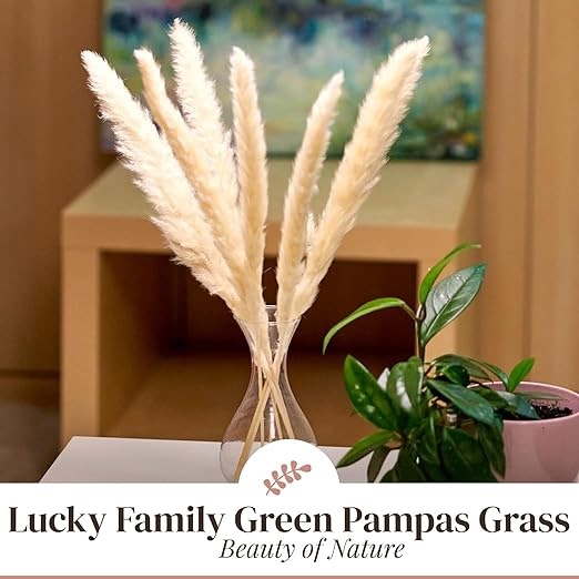RARE BIRD Dried Brown Pampas Grass for Decor 10 Pcs