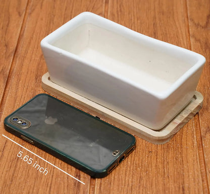 RARE BIRD White Ceramic Pots for Plants