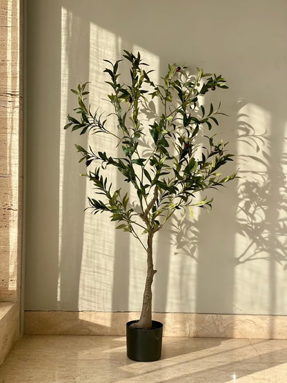 Rare Bird Artificial Infinite Olive Plant with Pot - 4 Feet | Realistic Plant - Trees - Flowers Home - Shop - Office | Gifting - Décor - Ambience