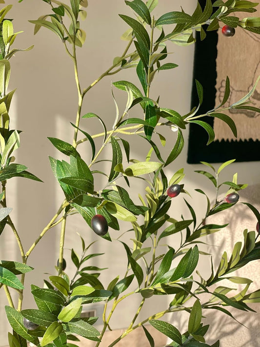 Rare Bird Artificial Infinite Olive Plant with Pot - 4 Feet | Realistic Plant - Trees - Flowers Home - Shop - Office | Gifting - Décor - Ambience