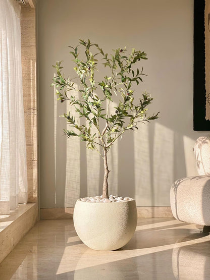 Rare Bird Artificial Infinite Olive Plant with Pot - 4 Feet | Realistic Plant - Trees - Flowers Home - Shop - Office | Gifting - Décor - Ambience