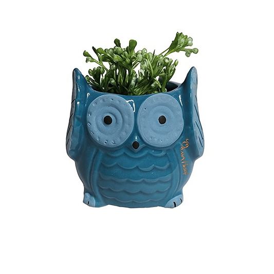 RARE BIRD Owl Ceramic Planter – Blue
