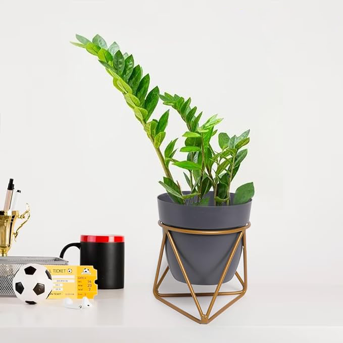 RARE BIRD Premium Quality metal Single Decorative Small Golden Cross Stand