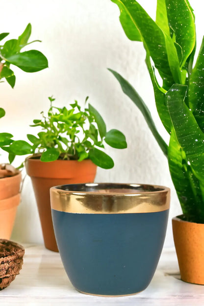 RARE BIRD Ceramic small  Planter pot