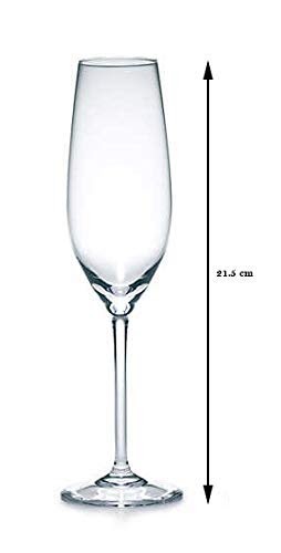 RARE BIRD Gloreca Crystalware Glass Crystal Wine Glass