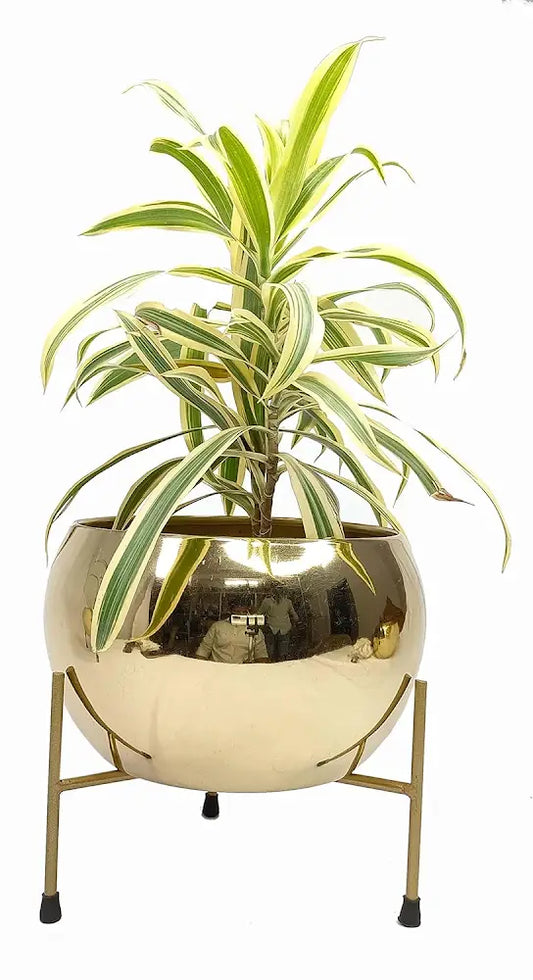 RARE BIRD house Decore Metal Flower Pot